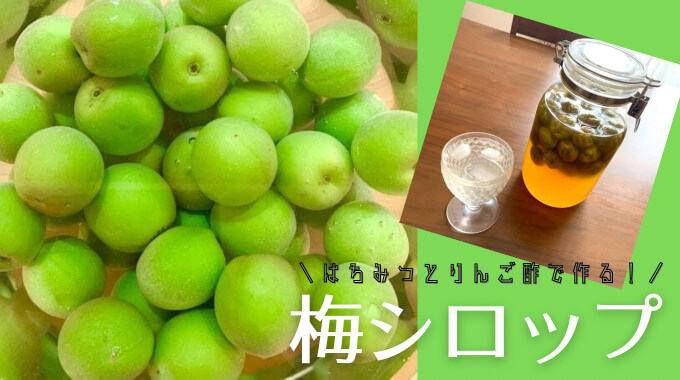 薬膳レシピ はちみつとりんご酢で梅シロップ 効果解説付き Finding Fun Fan